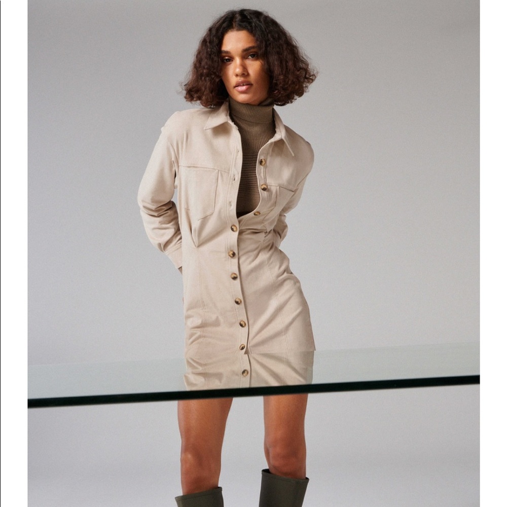 Zara Faux Suede Dress